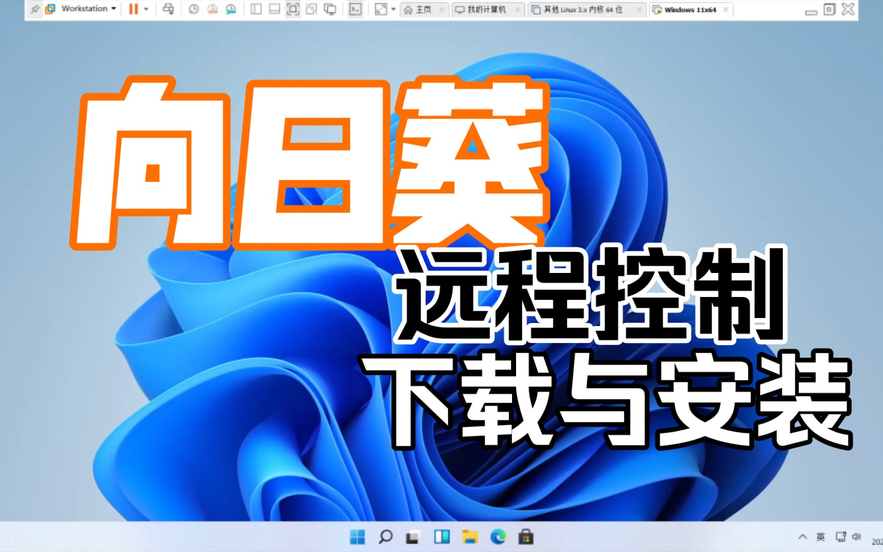 推荐一款远程控制软件《向日葵》,演示下到官网下载安装的全过程 评测视频封面
