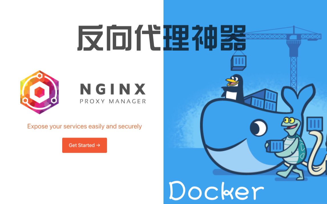 【Docker系列】一个反向代理神器——Nginx Proxy Manager 评测视频封面