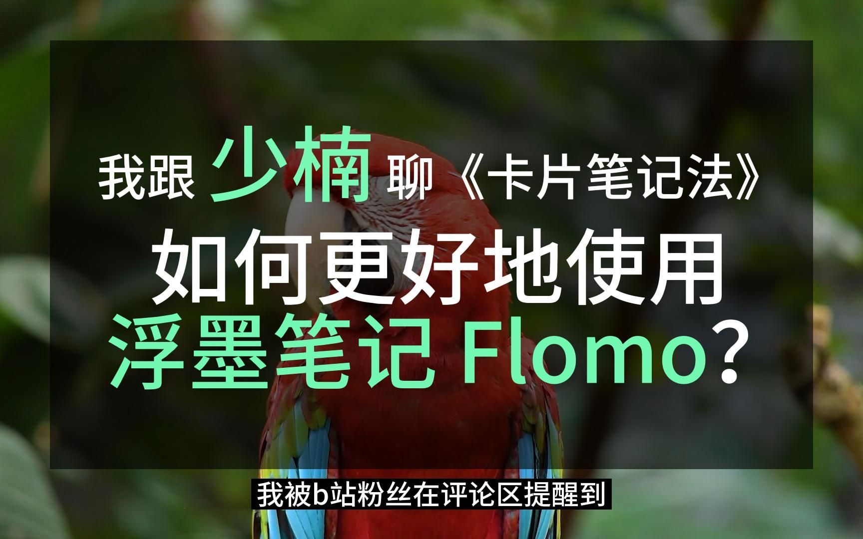卡片笔记法降智?少楠告诉你 Flomo 如何使用最合理 评测视频封面