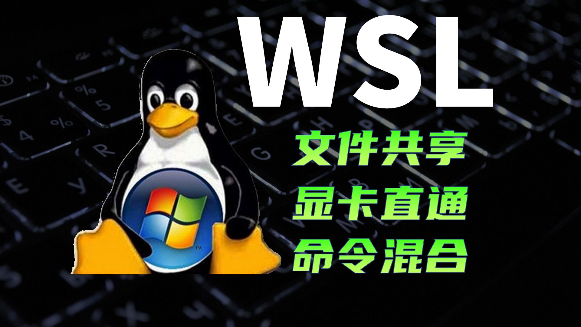 超详细的WSL教程：Windows上的Linux子系统 评测视频封面