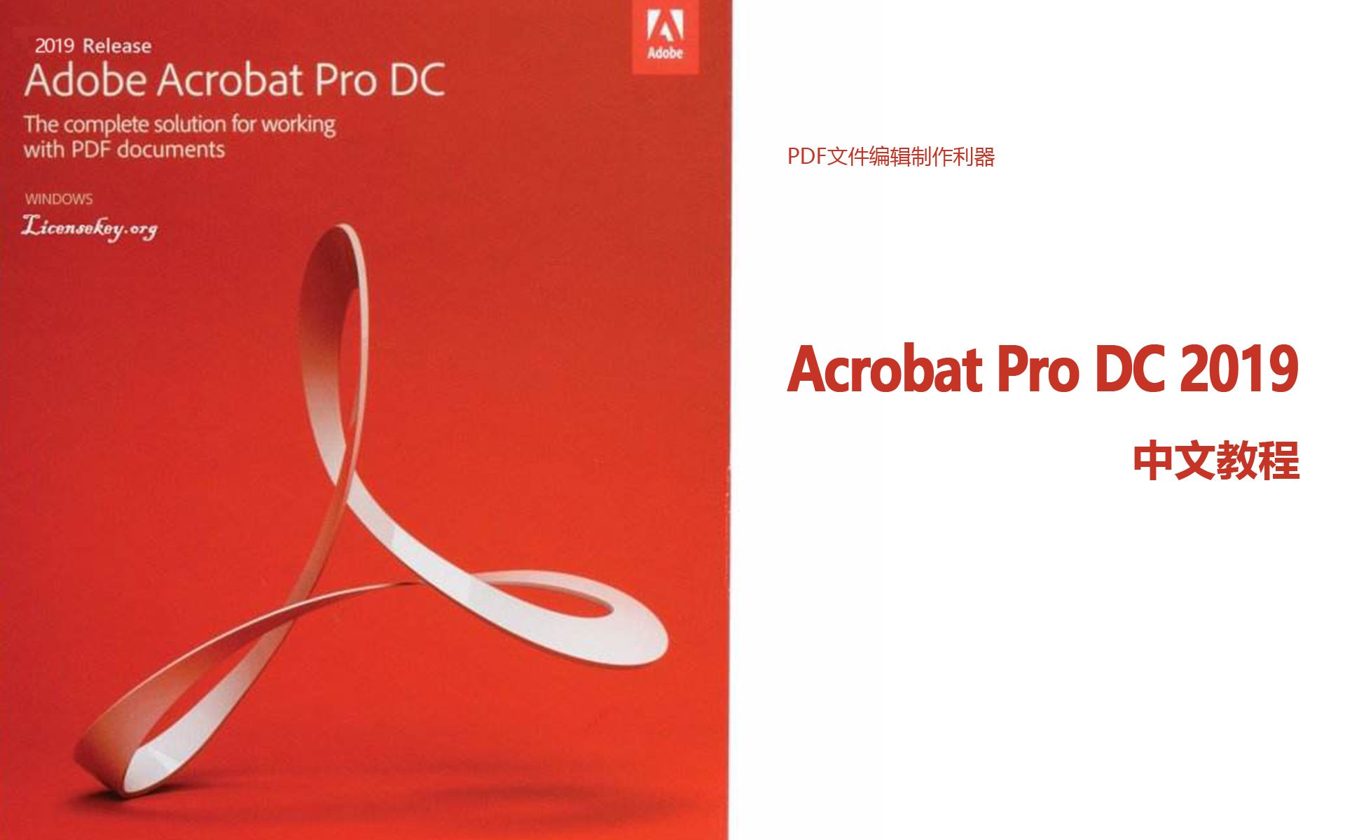 Acrobat Pro DC 2019 中文教程 - PDF文件编辑制作利器【完结】 评测视频封面