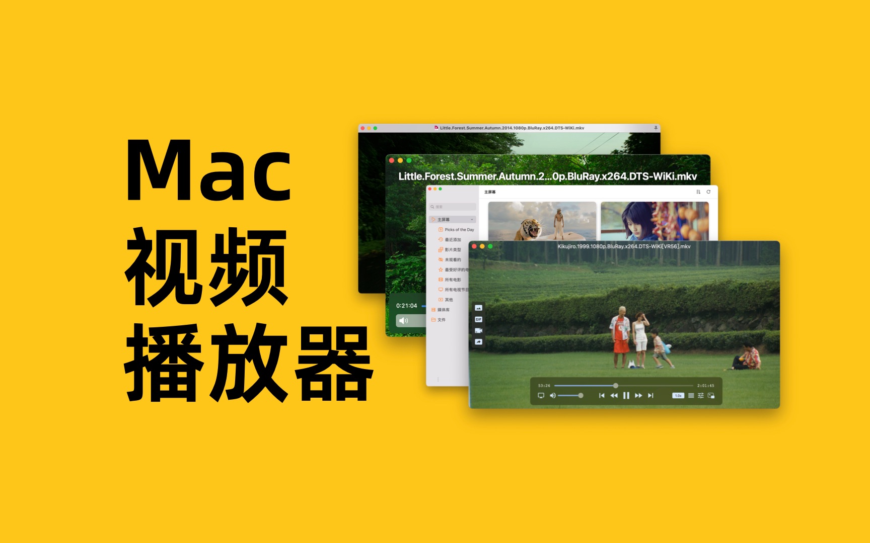 4款Mac视频播放器｜软件推荐 评测视频封面