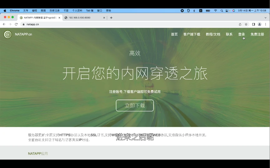 内网穿透工具Natapp 评测视频封面