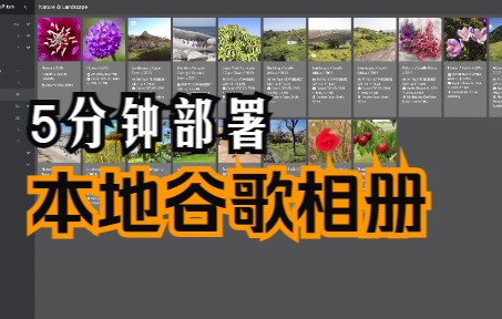 5分钟部署开源AI相册PhotoPrism,替代谷歌相册 评测视频封面