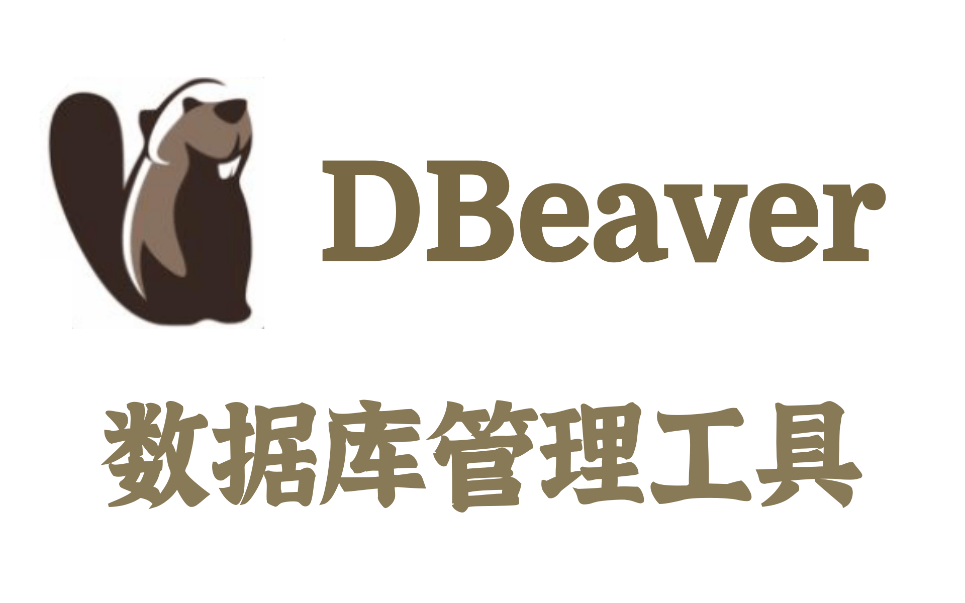 DBeaver教程 — 通用的数据库管理工具和 SQL 客户端,MySQL, PostgreSQL, Oracle, DB2, MSSQL, Sybase 评测视频封面