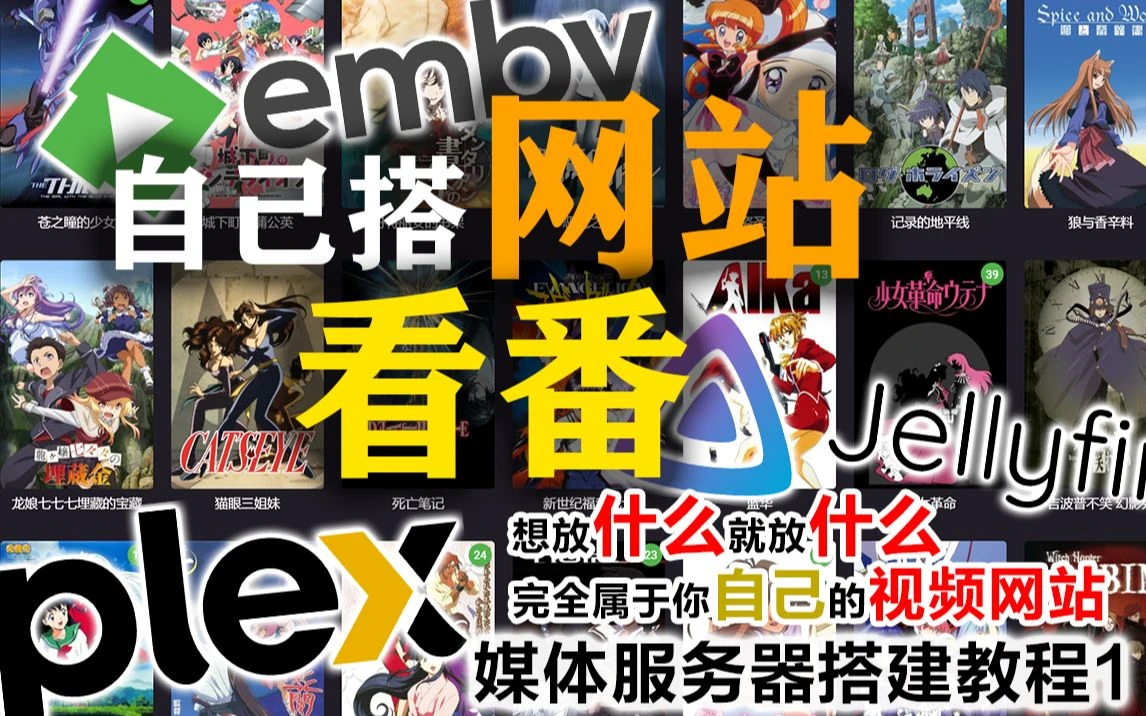 【看番教程】找不到地方看番？不如自己搭！超详细的媒体服务器搭建教程 评测视频封面