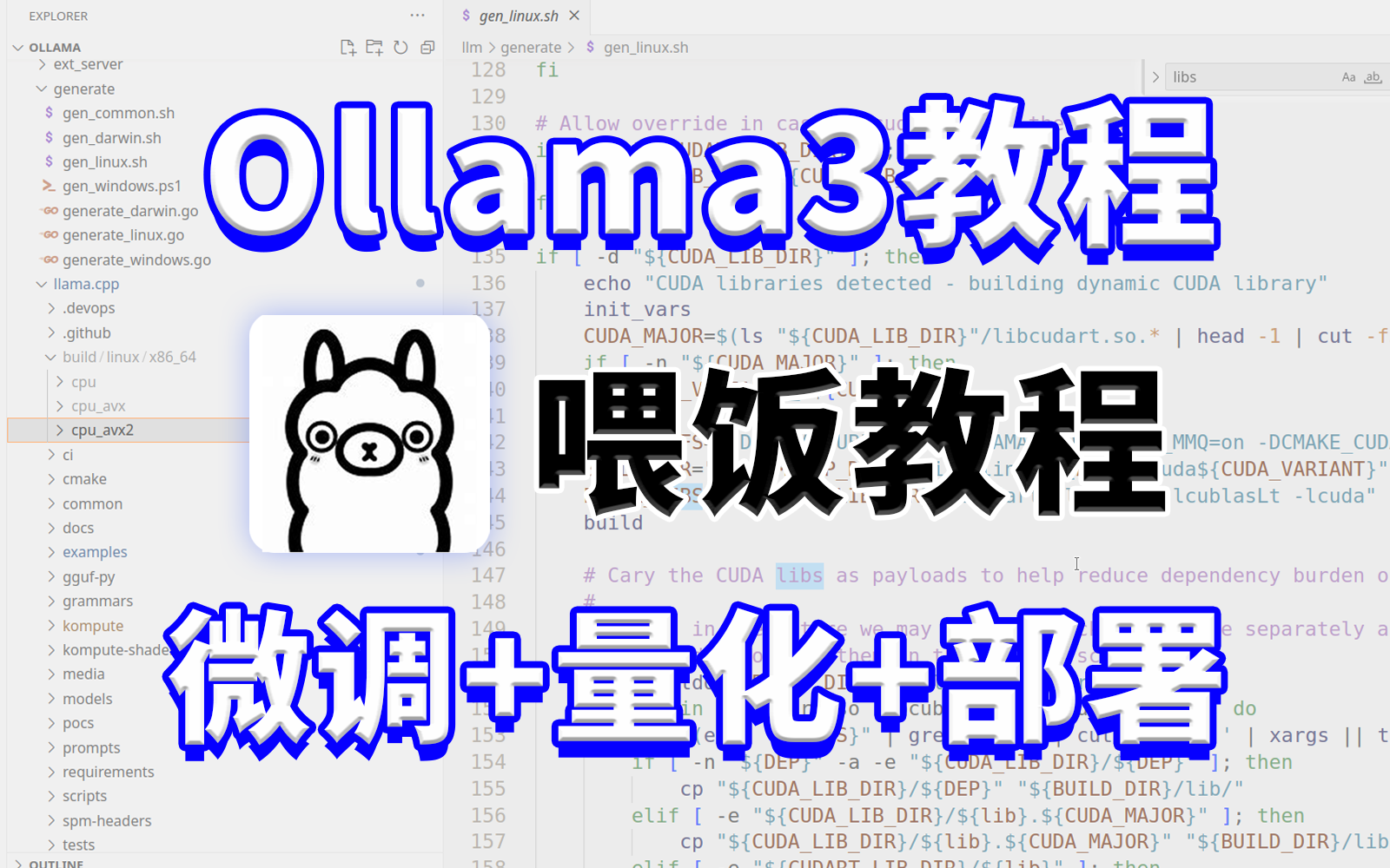 【喂饭教程】Ollama微调-量化-部署一条龙!全网最细的Ollama教程!手把手带你部署Ollama! 评测视频封面