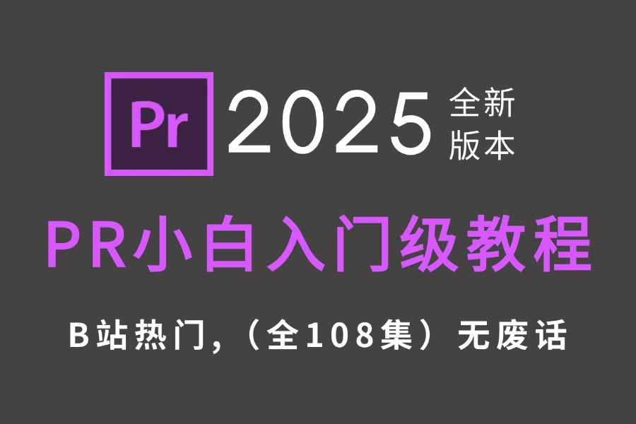 【2025新版】哭了,现在才知道,Premiere Pro得这么学!PR最新教程--0基础教学视频一整套!(免费分享108节2025最新版)!! 评测视频封面