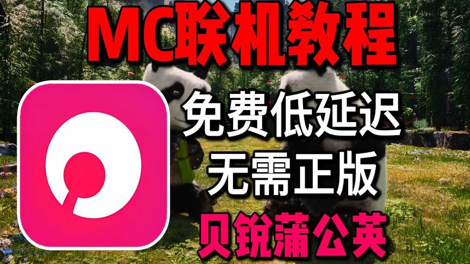《我的世界》联机终极方案!!贝锐蒲公英保姆级教程 免费低延迟 放假开黑再也不卡了!! 评测视频封面