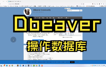 dbeaver使用教程,操作数据库 评测视频封面