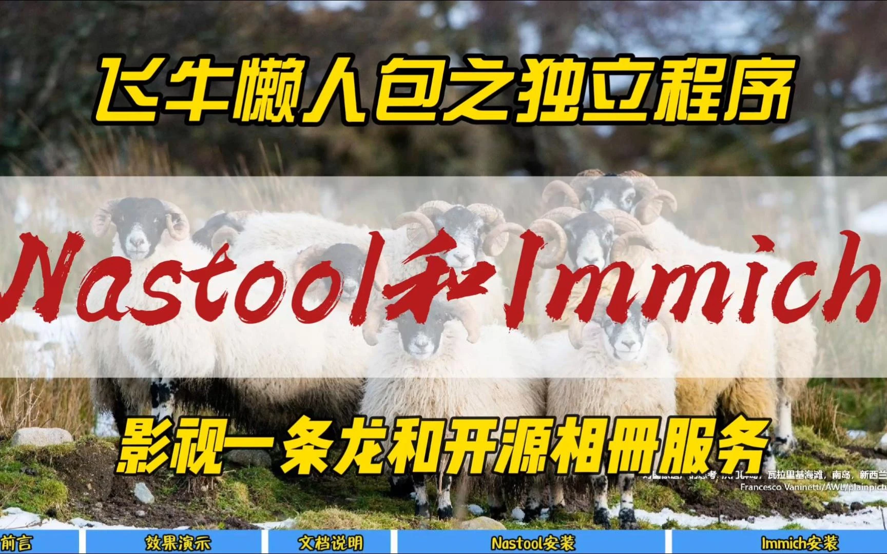 飞牛懒人包之独立程序Nastool和Immich~影视一条龙和开源相册服务~ 评测视频封面