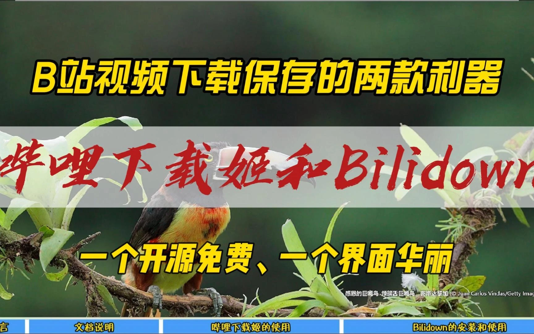 B站视频下载保存的两款利器，哔哩下载姬和Bilidown~一个开源免费，一个界面华丽 评测视频封面