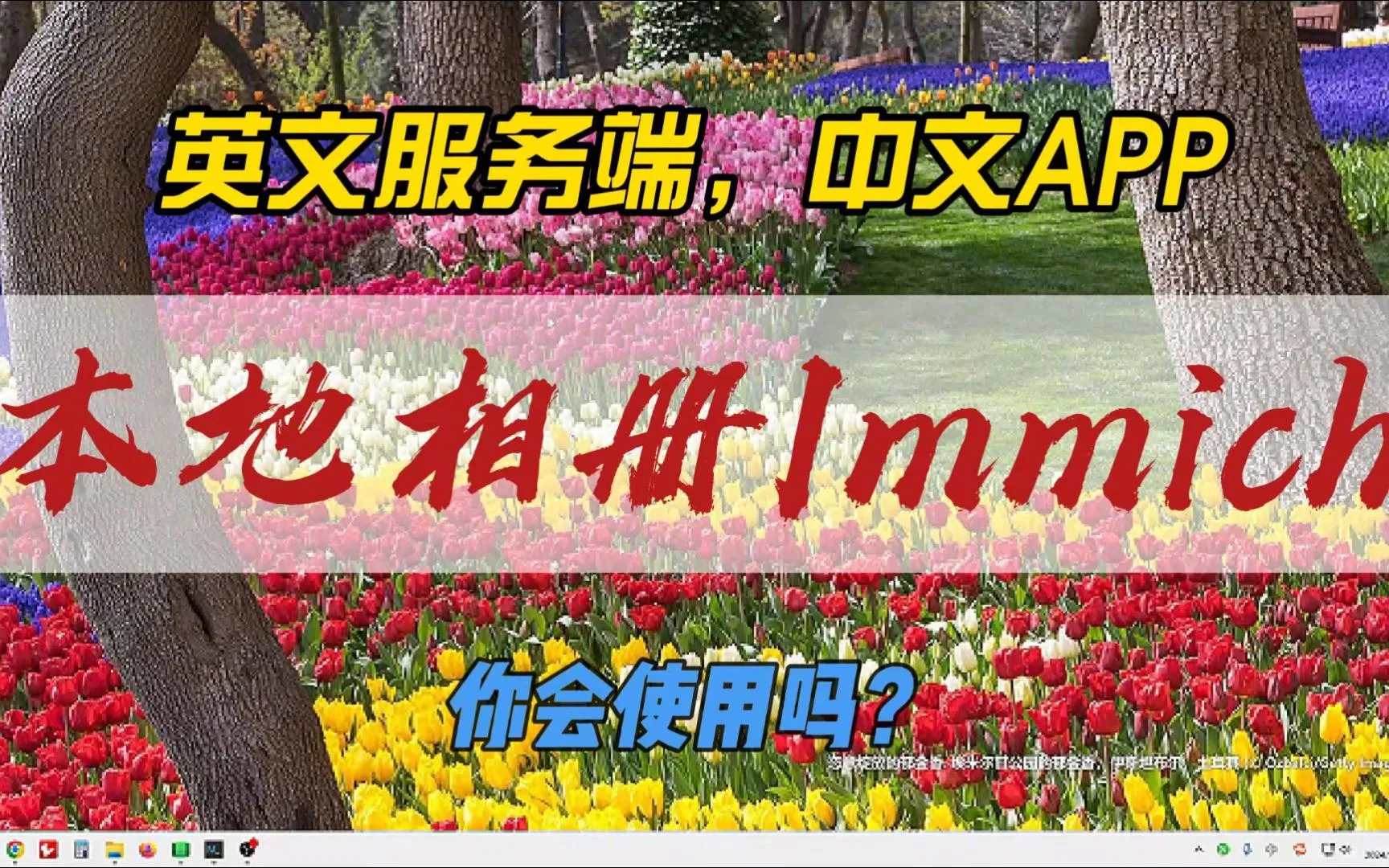 英文服务端，中文APP，本地相册Immich，你会使用吗？ 评测视频封面